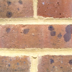 BILD3082 (Medium)